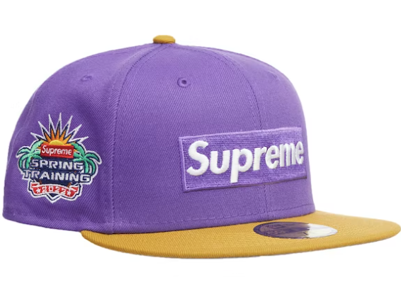 Supreme 2-Tone Box Logo New Era Purple – RIF LA