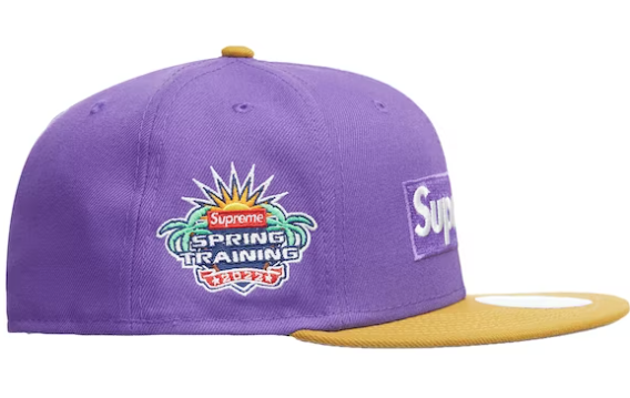 Supreme 2-Tone Box Logo New Era Purple – RIF LA